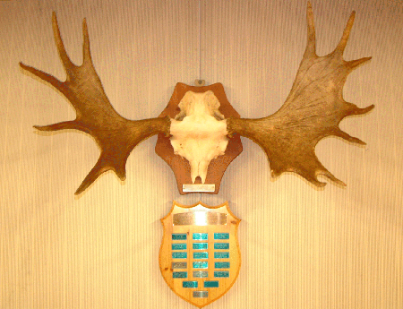 Hirviseurue